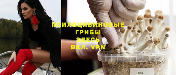 Альфа ПВП Балахна