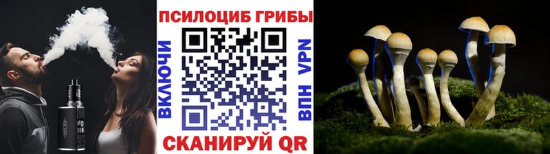 купить   Буинск  Галлюциногенные грибы мухоморы 